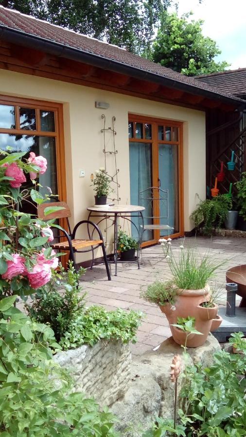 Apartment Mit Gartenblick Eckersdorf Exterior foto
