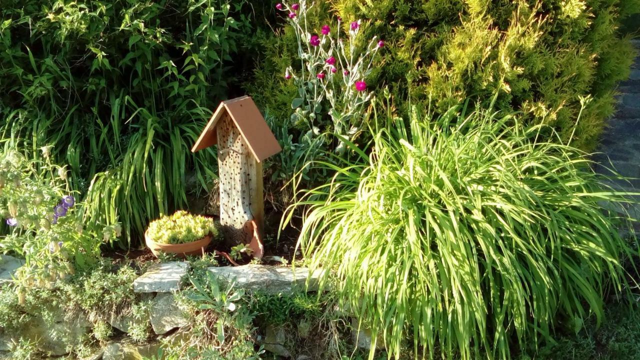 Apartment Mit Gartenblick Eckersdorf Exterior foto